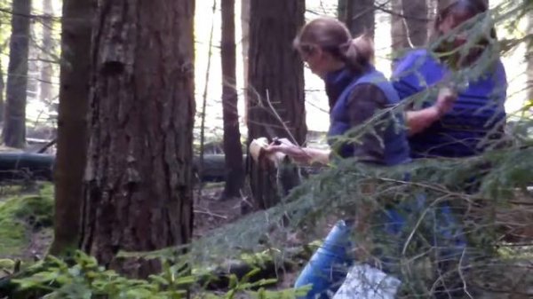 Beim Pilzesammeln im Gaggstatter Wald