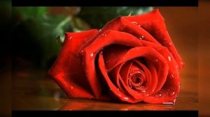 Клип про моей подруге ани