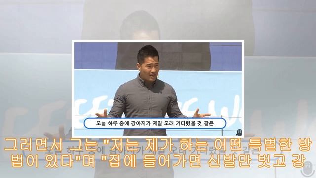 종일 집에서 나를 기다린 반려견 위로하는 방법 (영상) смотреть онлайн