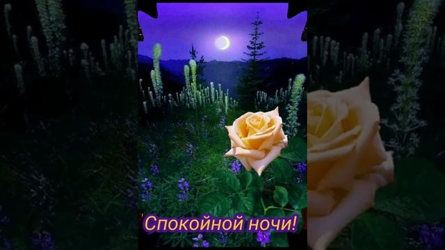 ДОБРОЙ НОЧИ.. смотреть онлайн