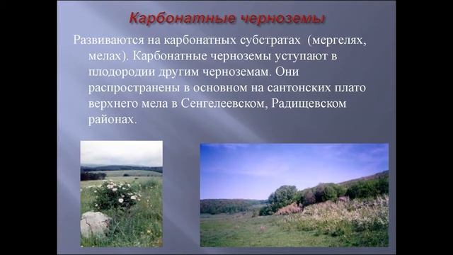 проект на тему: почва ульяновской области смотреть онлайн