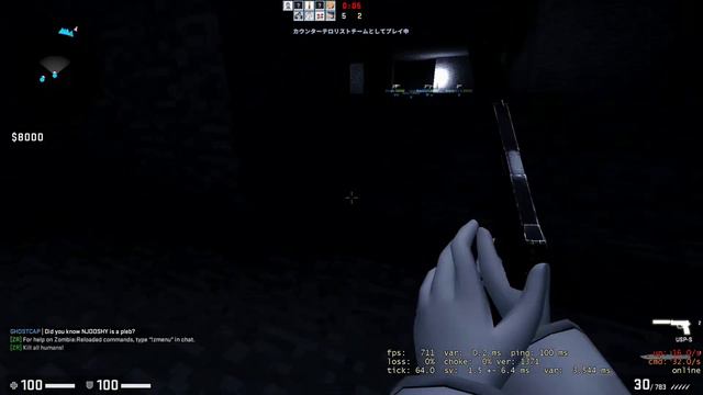 CSGO Zombie Survival zm_minecraft_v3_v93xnet_re-lift_4 смотреть онлайн