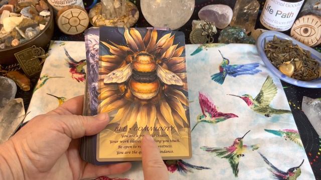 Spirit of the Animals Oracle Cards by Jody Bergsma Deck Flip Through #spiritanimal #oraclecards смотреть онлайн