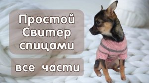 Как связать свитер спицами для собак и кошек, все части