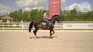 Работа на рыси / Посадка на рыси / Строевая и учебная рысь  / Виды рыси / Нога облегчения на рыси