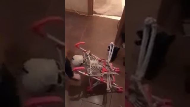 Я ВАЛЕРУ НЕ БРОШУ смотреть онлайн