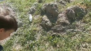 Раскопки на старом городище! #2 Часть вторая!