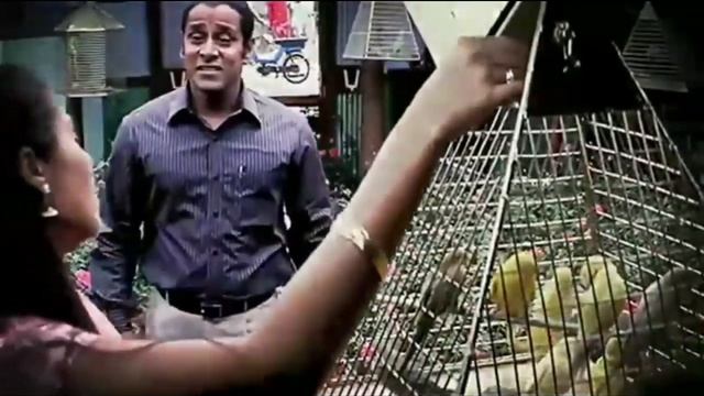 How to handle & react to Rejection |In தமிழ் |Azeema Syed #romanticrejection #youtube #tamilchannel смотреть онлайн