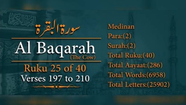 Surah Baqarah | Ruku 25 | verses 197 to 210 | Quran for beginners смотреть онлайн