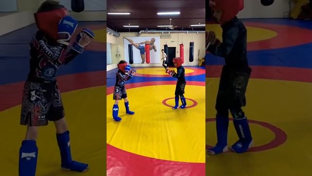 #mma #mmakids #muaythai #pankration #mischtai_coach #alexteamrostov смотреть онлайн