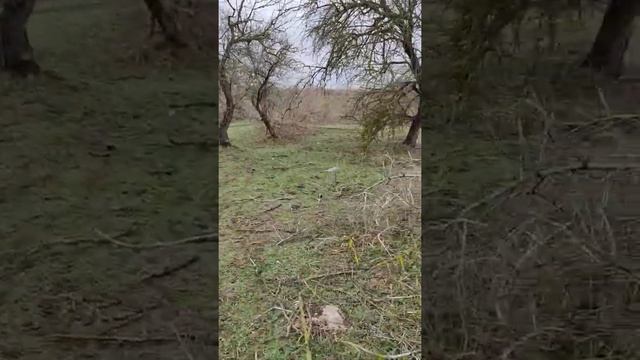 Берегите природу#не оставляйте мусор за собой#чистота#красота#отдых#уборка# смотреть онлайн