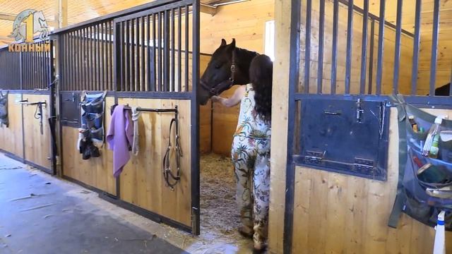 Язык лошадей