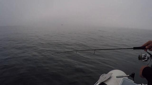 Джиг в Черно Море с Active Target смотреть онлайн