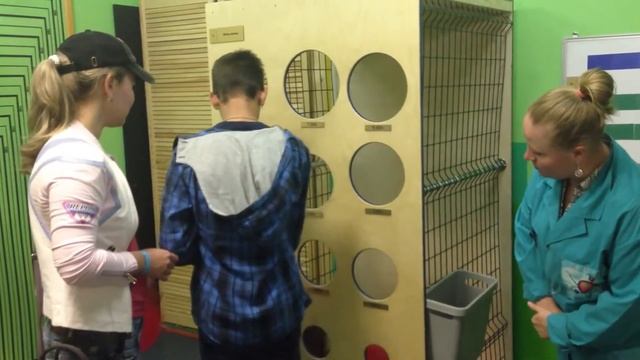 Человек в цифрах: объем легких человека смотреть онлайн