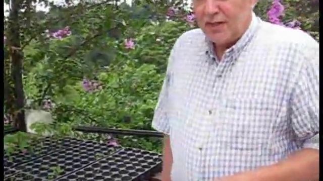 Tire Garden Experiment смотреть онлайн