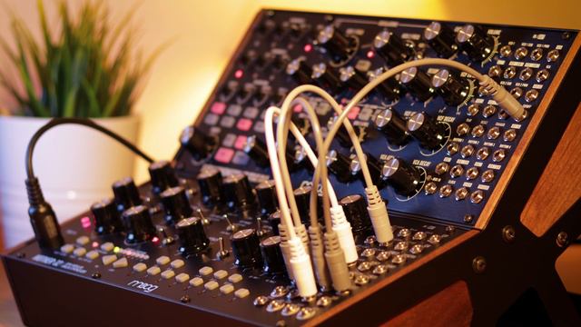 Adhara | Generative Ambient Moog Mother-32 + Subharmonicon смотреть онлайн