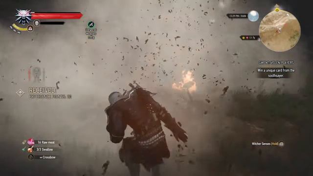 The Witcher 3: Wild Hunt Monster Nest Epic Fail. смотреть онлайн