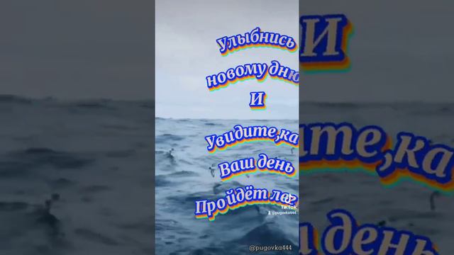Пусть в вашей жизни будет только белая полоса! смотреть онлайн