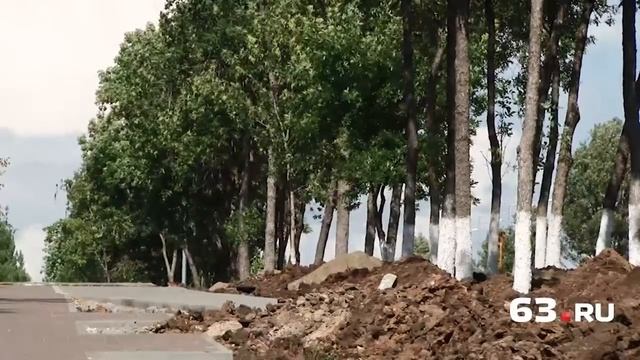 600 деревьев для Ново-Садовой смотреть онлайн