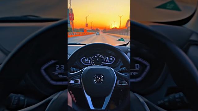 Changan Alsvin Driving Status смотреть онлайн