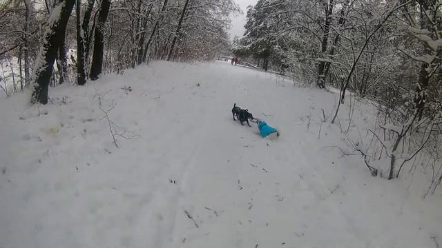 Ягд против Джек рассела 2 часть смотреть онлайн