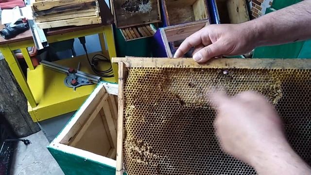 Как приманить РОЙ в пчелиную ЛОВУШКУ, Все секреты Роеловства ,Пчеловодство для начинающих смотреть онлайн