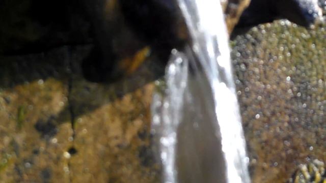 Samsung ST96 Video With Zoom