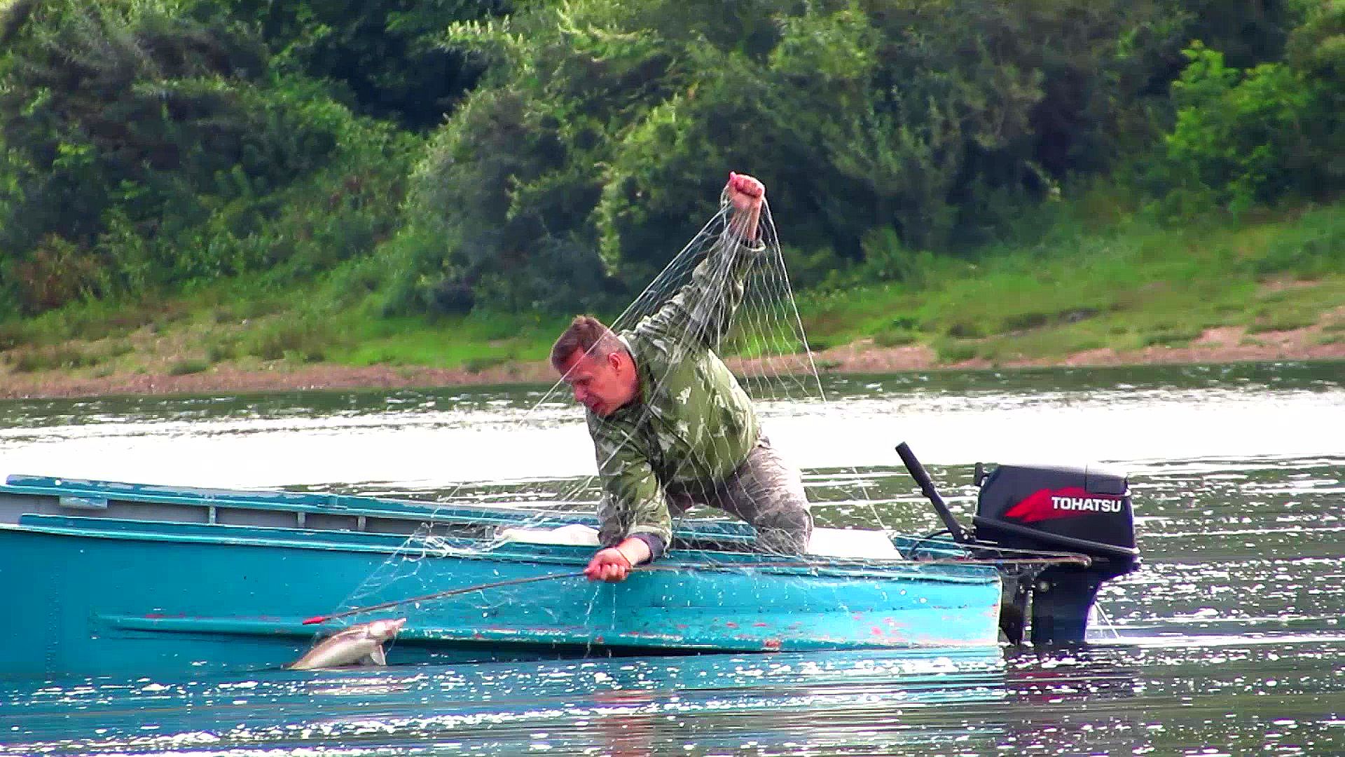 БРАКОНЬЕРЫ СОВСЕМ ОБНАГЛЕЛИ! Белым днем ставят сети и ловят СТЕРЛЯДЬ на Оке смотреть онлайн