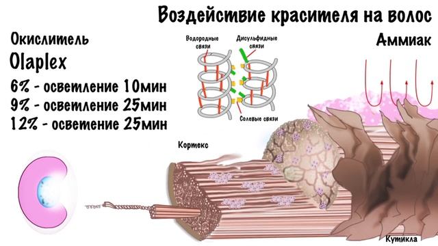 Урок 15. Полный курс по колористике. Обучение парикмахеров.Olaplex.