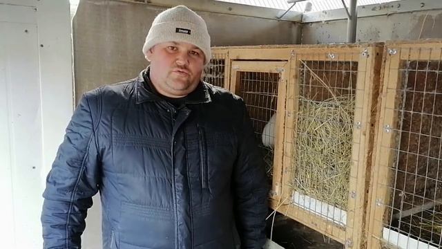 Кролиководам со всего мира посвящается. смотреть онлайн