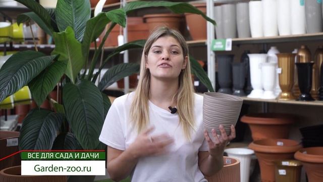 Как ПРАВИЛЬНО подобрать горшок для растения ✿ смотреть онлайн