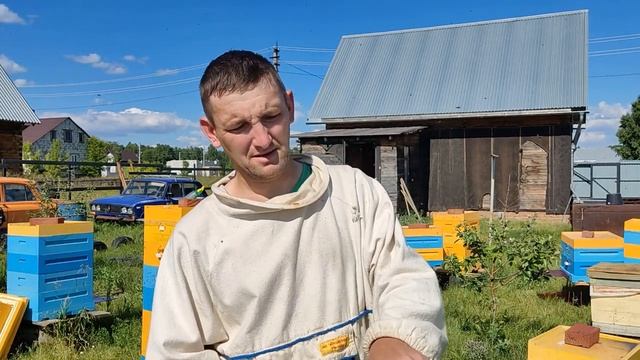 хитрый холстик для пасеки