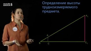 О подобии произвольных фигур. Видеоурок 15. Геометрия 8 класс.