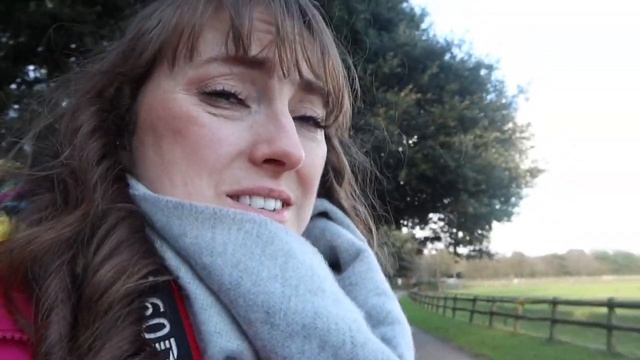 The wildlife park in Ireland with no enclosures смотреть онлайн