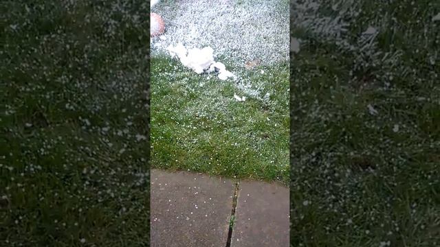 Expanding foam experiment смотреть онлайн