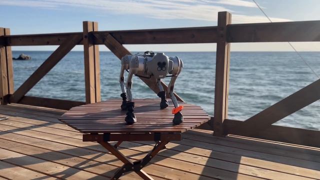 Робособака Go-1 танцует на берегу моря: ритм волны и технологии! смотреть онлайн