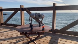 Робособака Go-1 танцует на берегу моря: ритм волны и технологии!