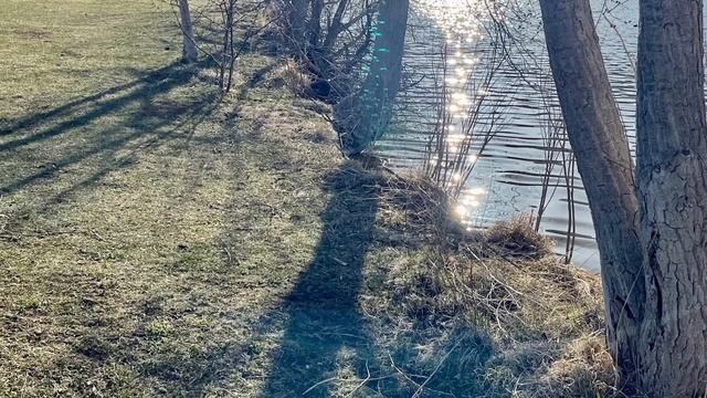 Медитация Физика радости#2. Наука человеческих вибраций. смотреть онлайн