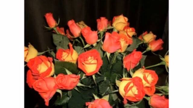 ЦВЕТЫ АНАСТАСИИ НАГОРНОВОЙ(СТРЕХА) смотреть онлайн