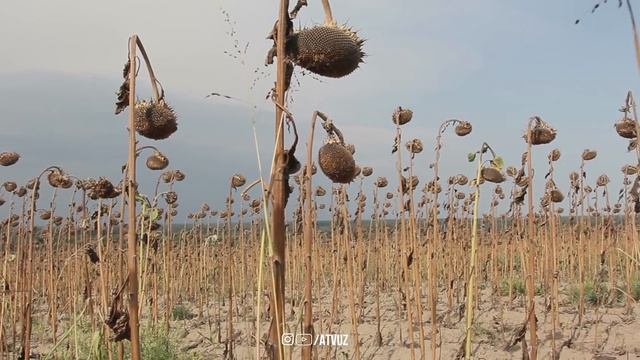 Душманга қарши Бу сирли Дуони Бир Марта ӯқинг! Кучли дуо! @ATVUZ