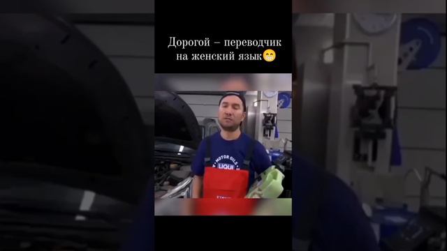 дорогой-переводчик смотреть онлайн