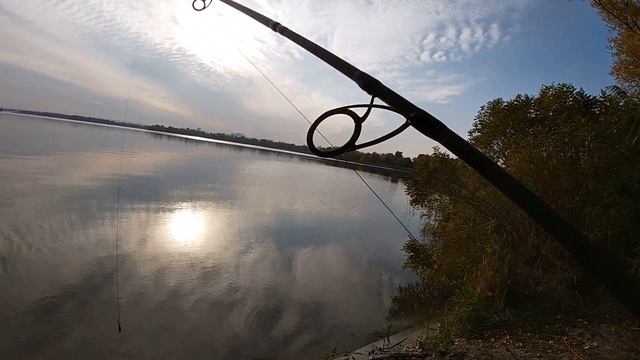 Обзор карпового удилища Carp Pro D Carp 13ft. Бюджетное карповое удилище для начинающих. смотреть онлайн