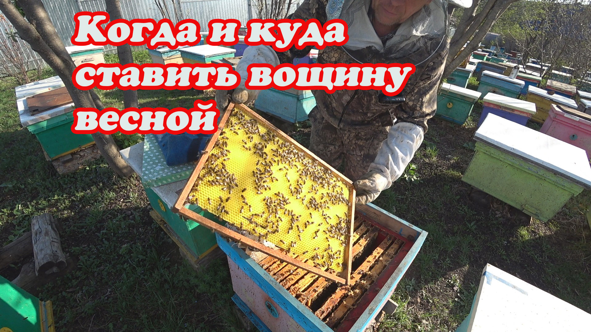 КОГДА СТАВИТЬ ВОЩИНУ ДЛЯ ОТСТРОЙКИ СОТОВ. смотреть онлайн