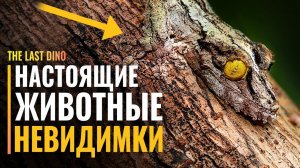 Маскировка, которая делает животных Невидимками