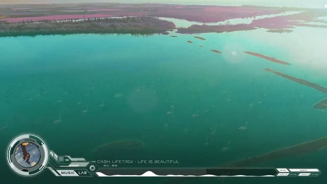 Inspirational Music For Creativity And Studying — Stunning Flamingos.mp4