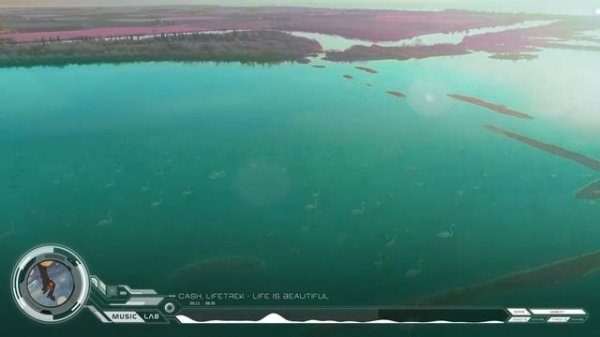 Inspirational Music For Creativity and Studying — Stunning Flamingos.mp4