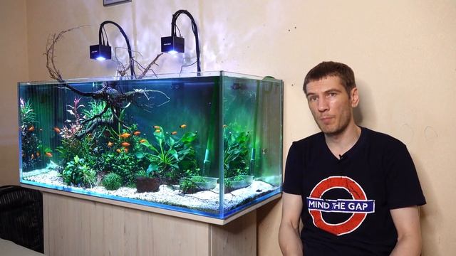 Берлинские меченосцы в Острове смотреть онлайн