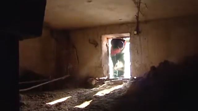 РУБРИКА ДЕНЬ ЖКХ сотрудники ПКК смотреть онлайн