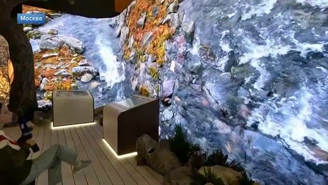 Совместная экспозиция платформы «Россия – страна возможностей» и Движения Первых на ВДНХ смотреть онлайн