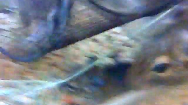 малыши Дегу Дегу смотреть онлайн